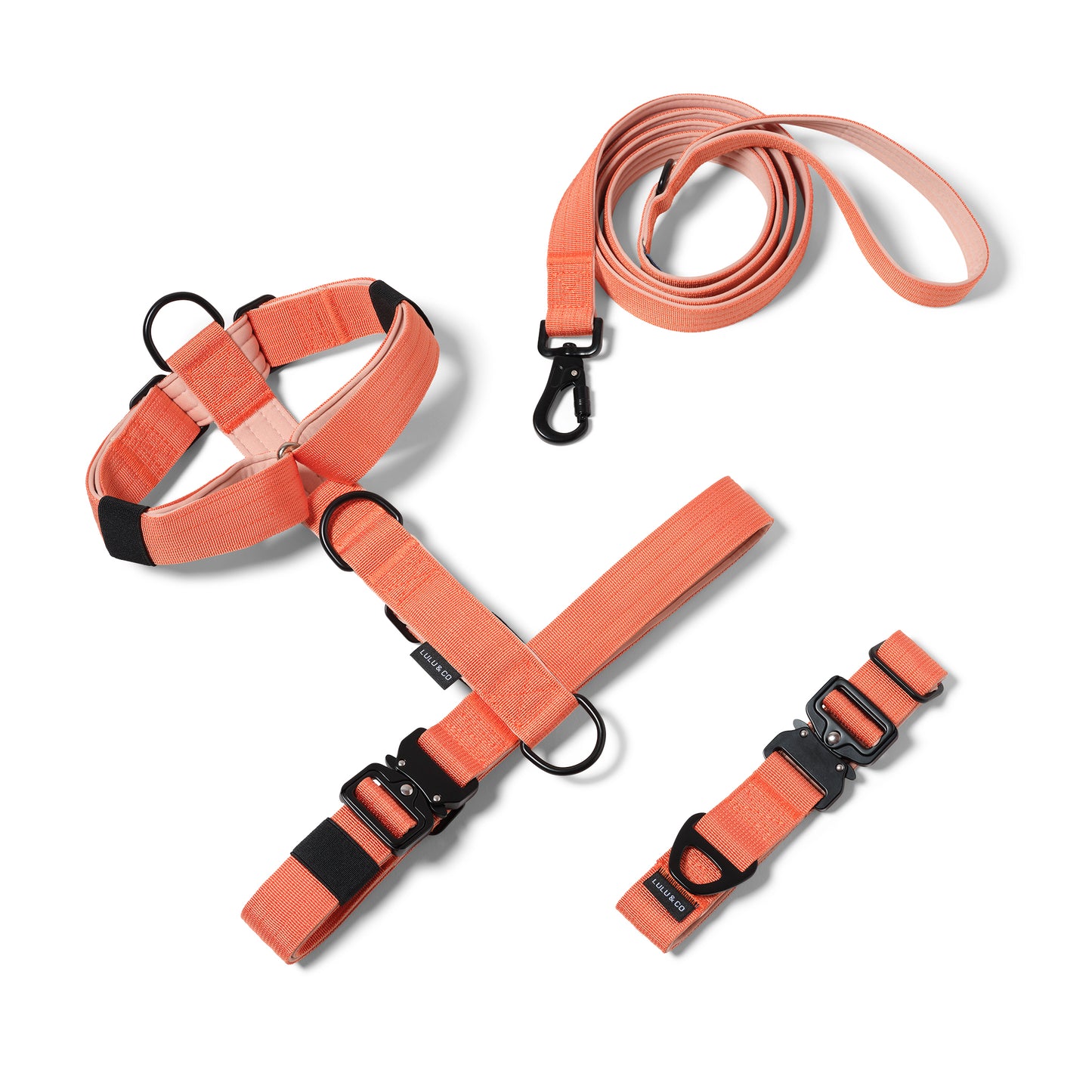 Paquete Naranja Coral: Ahorre 15%