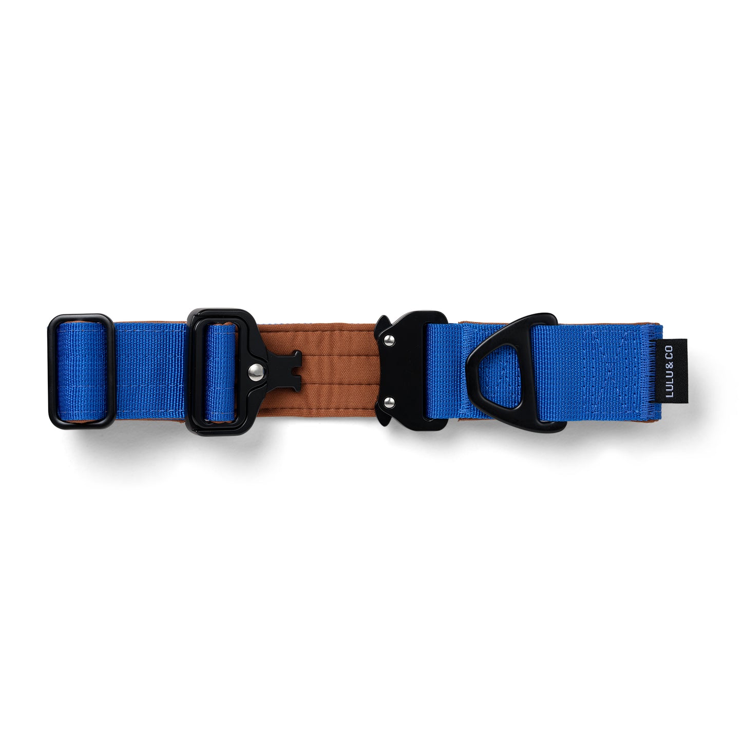 Collar para perros - Azul cobalto