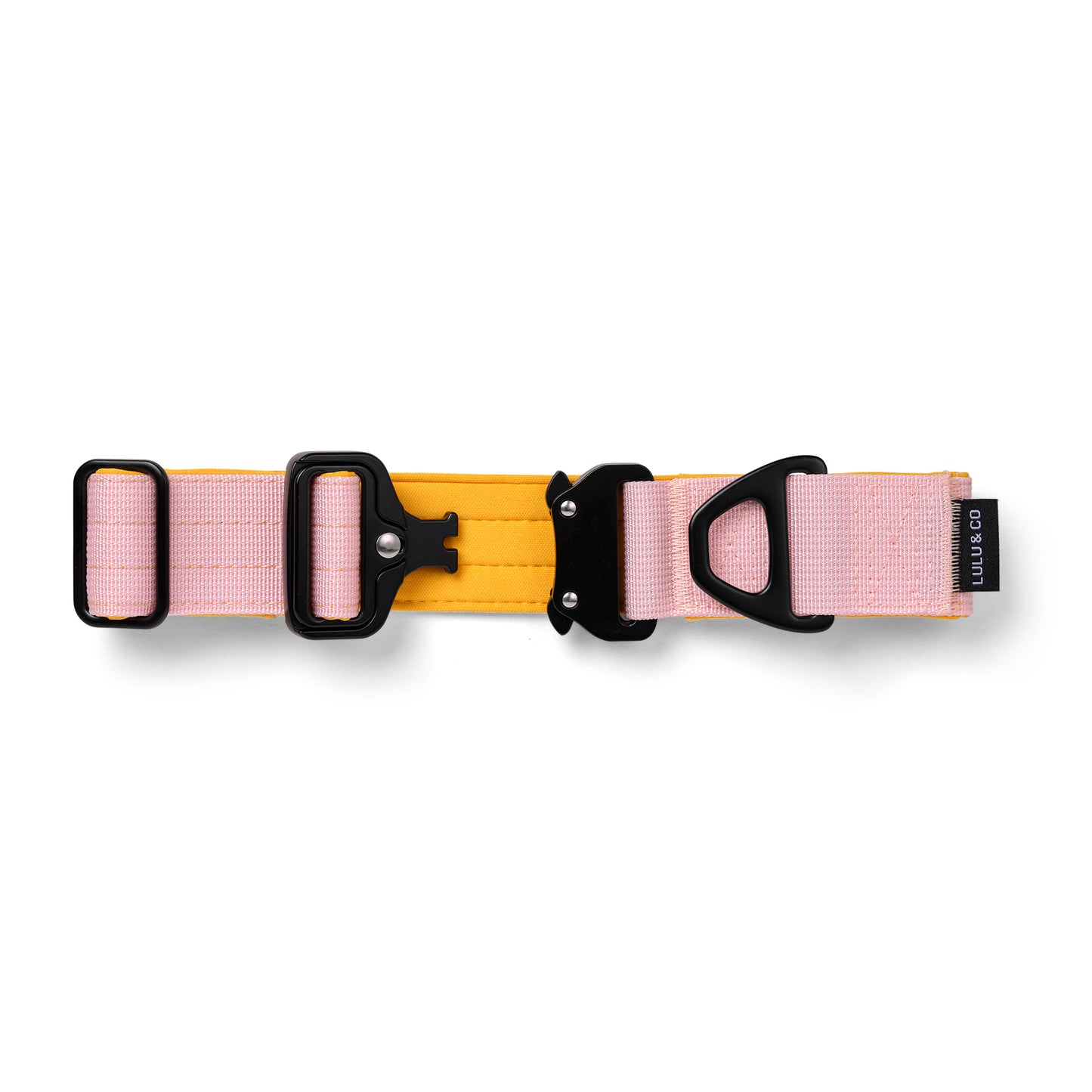 Collar para perro - Rosa claro