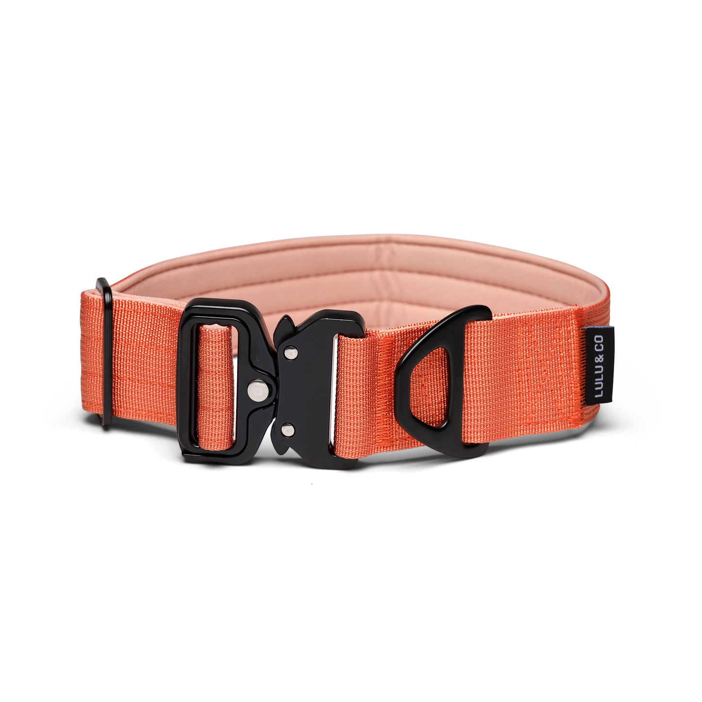Paquete Naranja Coral: Ahorre 15%