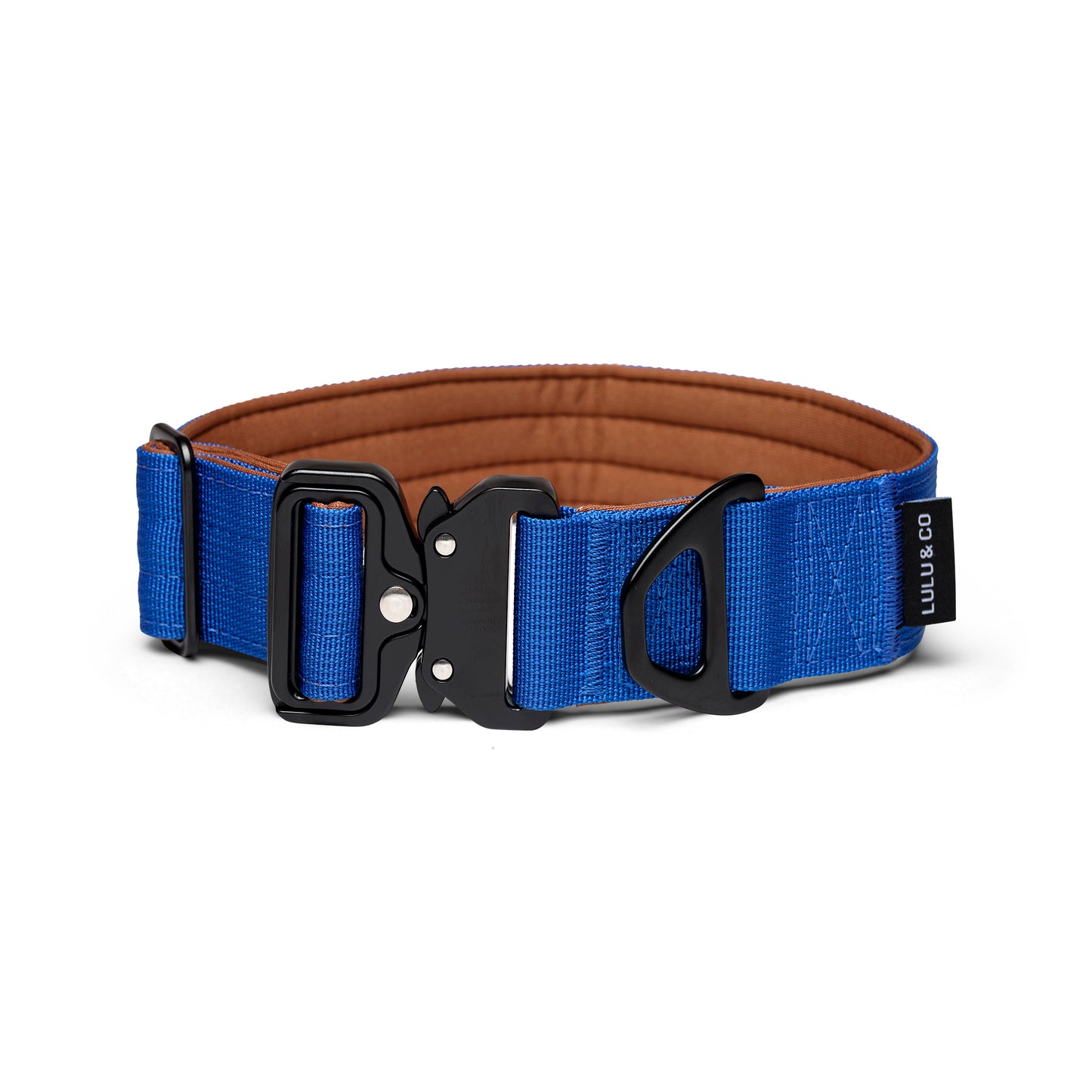 Collar para perros - Azul cobalto