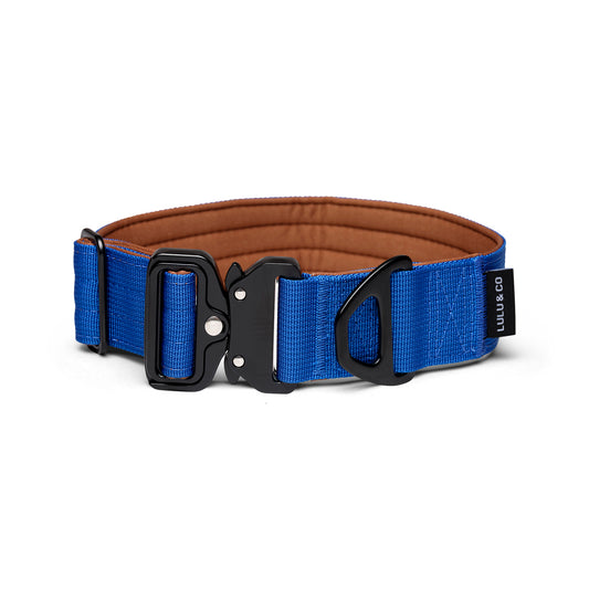 Robust Blåt Halsbånd - Cobalt Blue