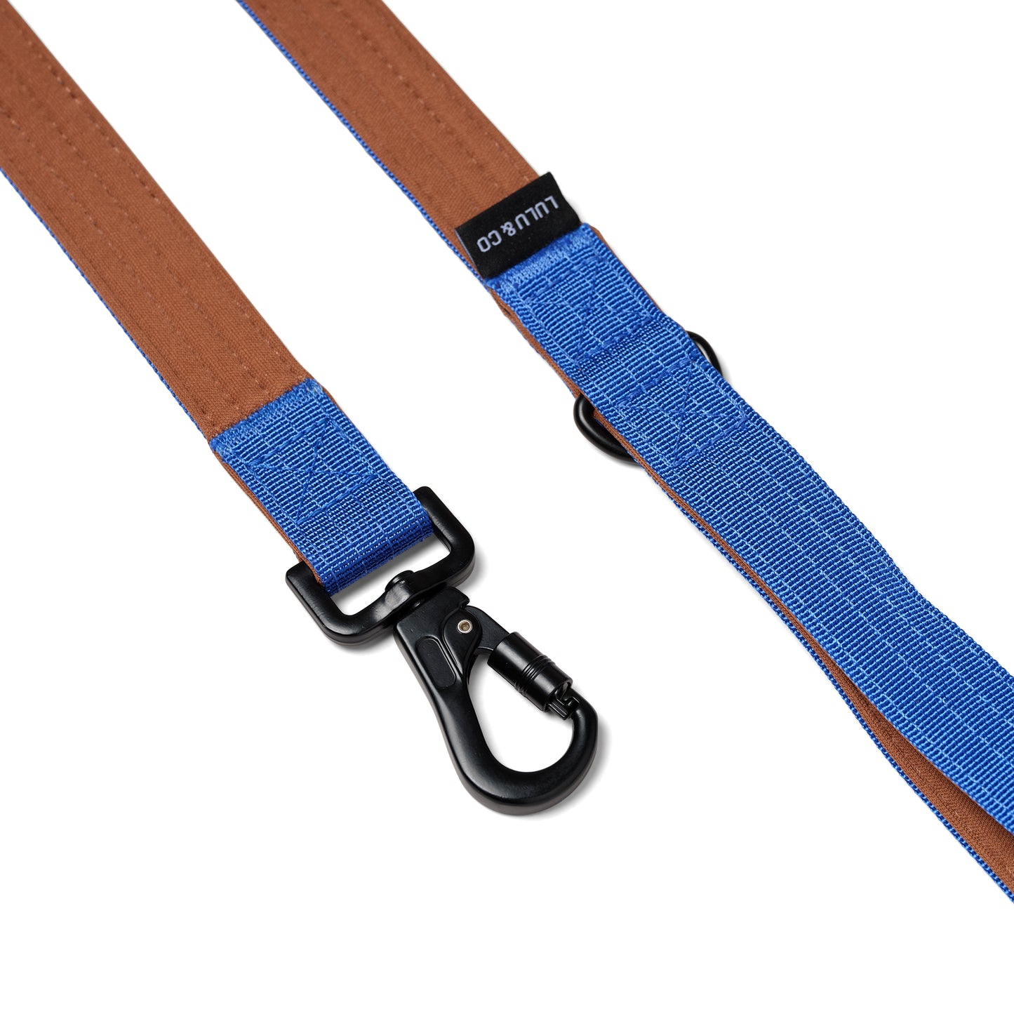 Correa para perro con anilla D - Azul cobalto