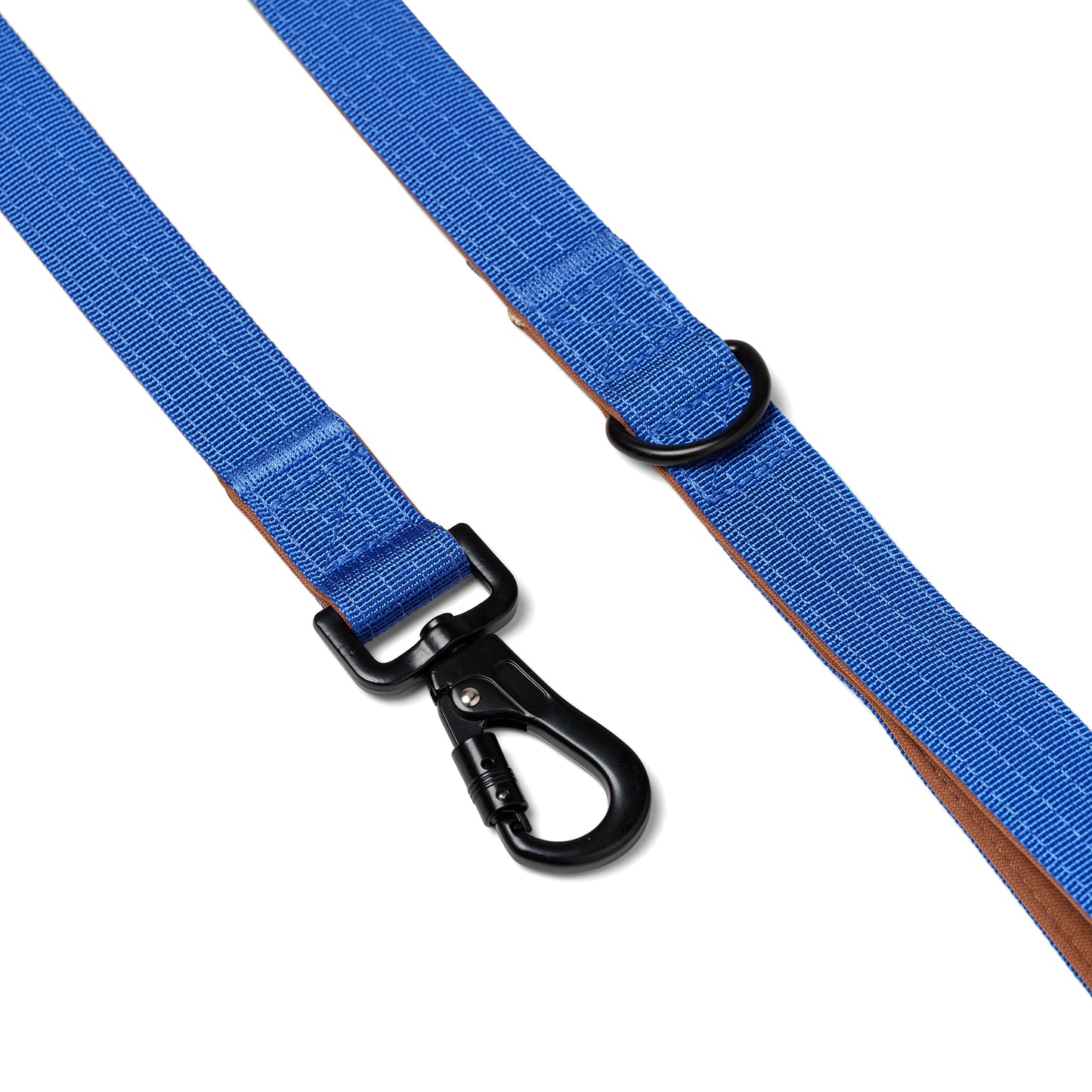 Correa para perro con anilla D - Azul cobalto