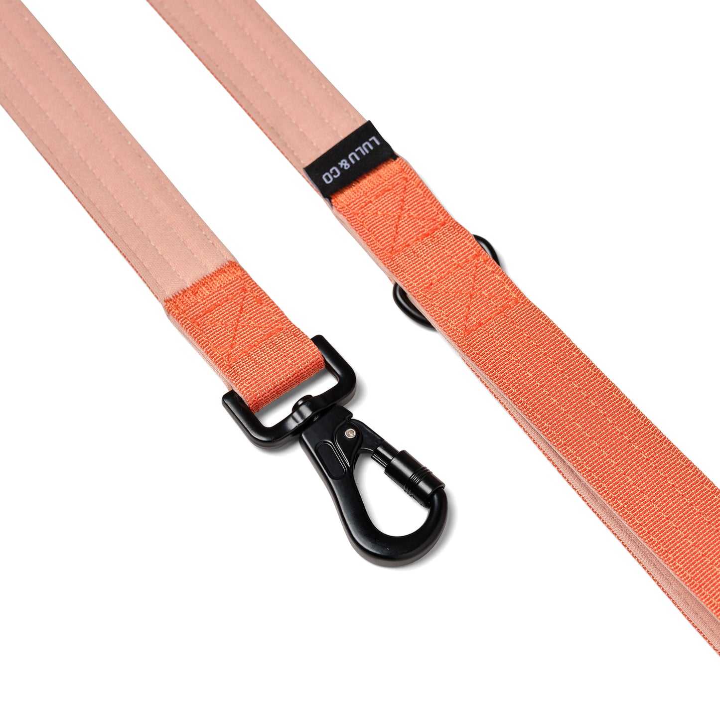 Correa para perro con anilla D - Naranja coral