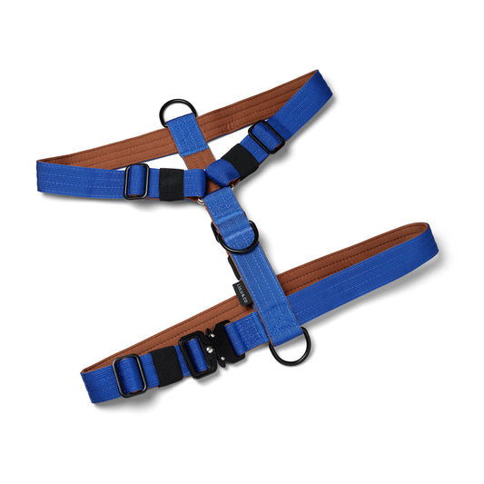 Anti Pull Komfort Blå Hundesele - Cobalt Blue