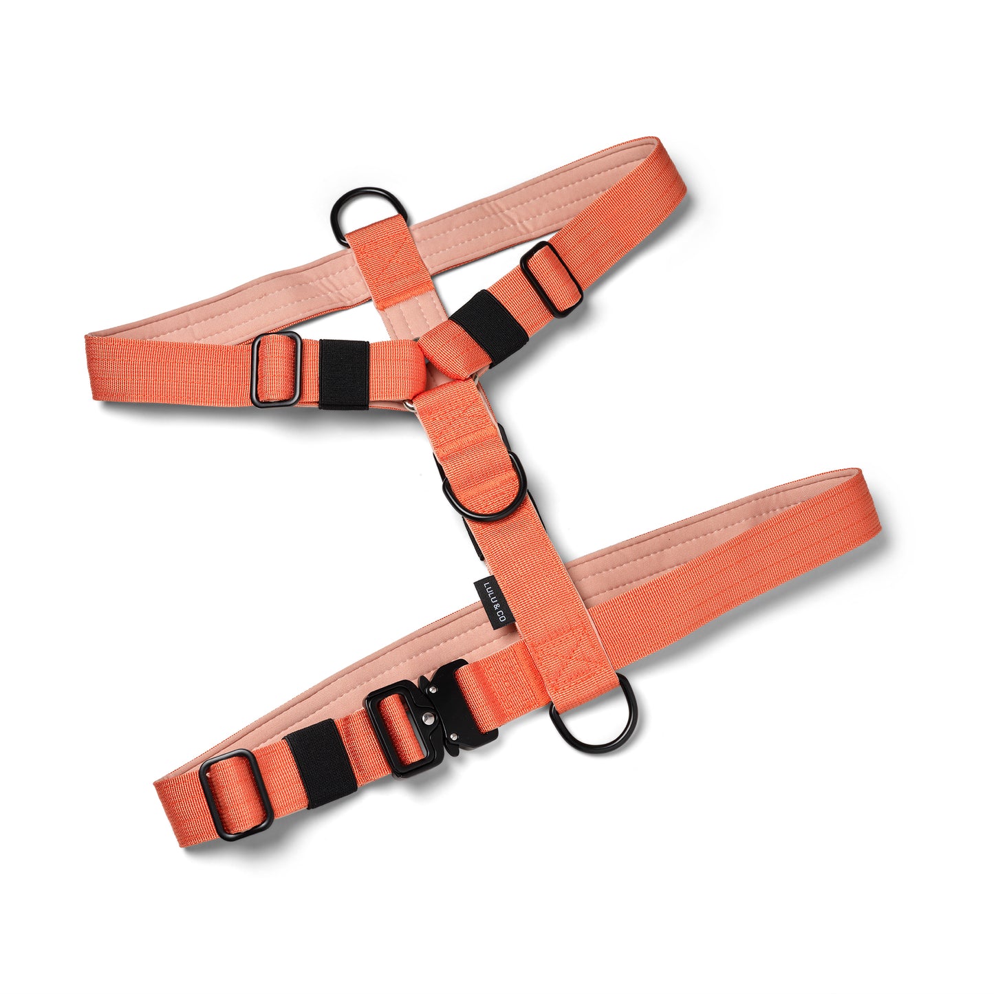 Paquete Naranja Coral: Ahorre 15%