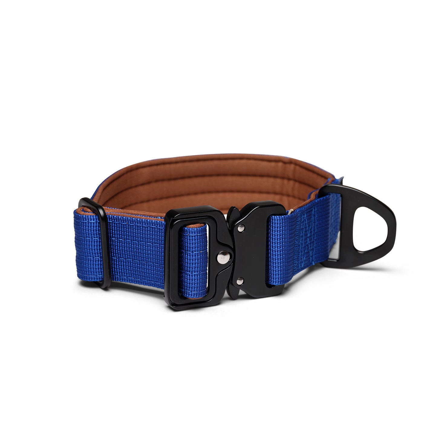 Collar para perros - Azul cobalto