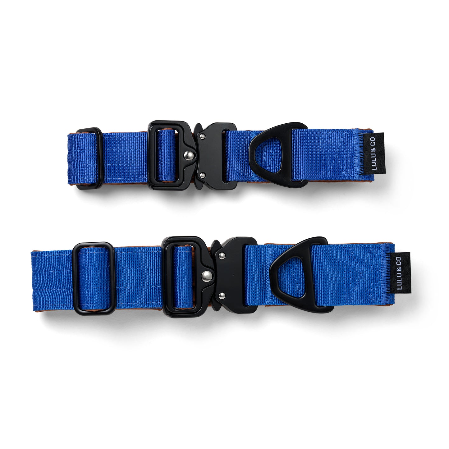 Collar para perros - Azul cobalto