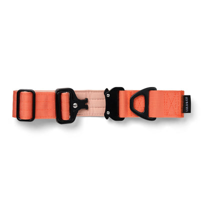 Collar para perro - Naranja coral