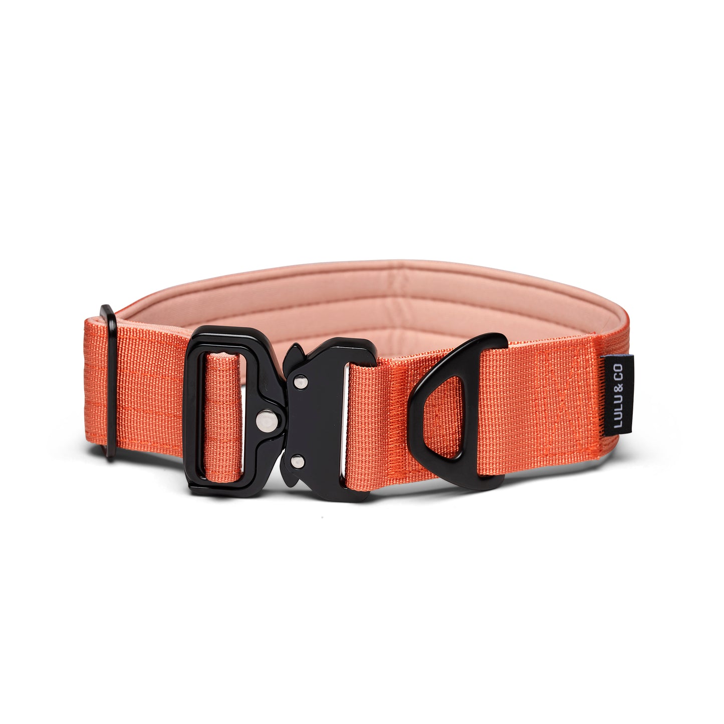 Collar para perro - Naranja coral