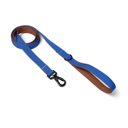 D-Ring Dog Lead - Cobalt Blue