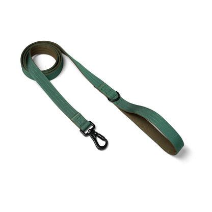 D-Ring Dog Lead - Pine Green