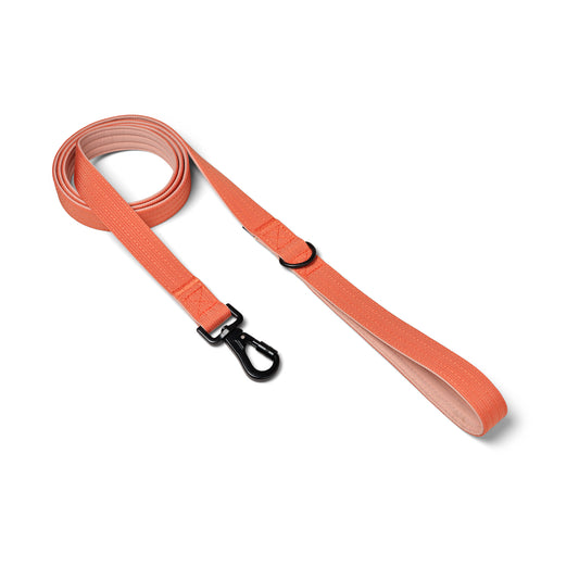 Correa para perro con anilla D - Naranja coral