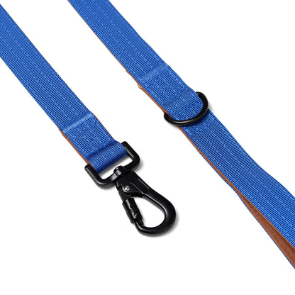 D-Ring Dog Lead - Cobalt Blue