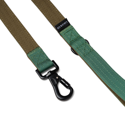 D-Ring Dog Lead - Pine Green