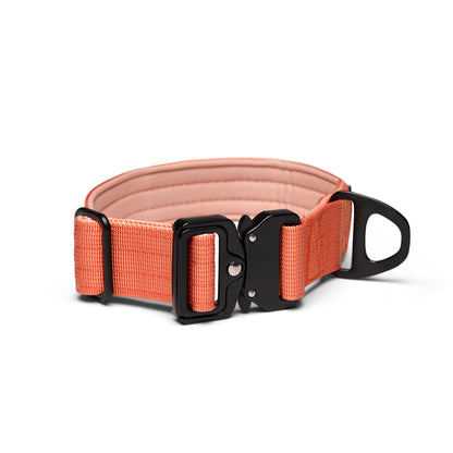 Collar para perro - Naranja coral