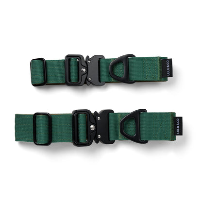 Collar para perros - Verde pino