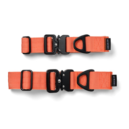 Collar para perro - Naranja coral