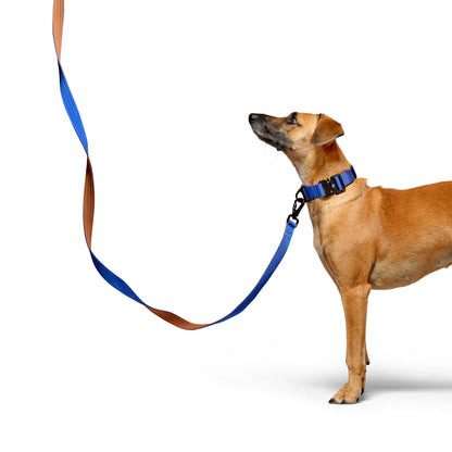 D-Ring Dog Lead - Cobalt Blue